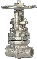 Forge Globe Valve